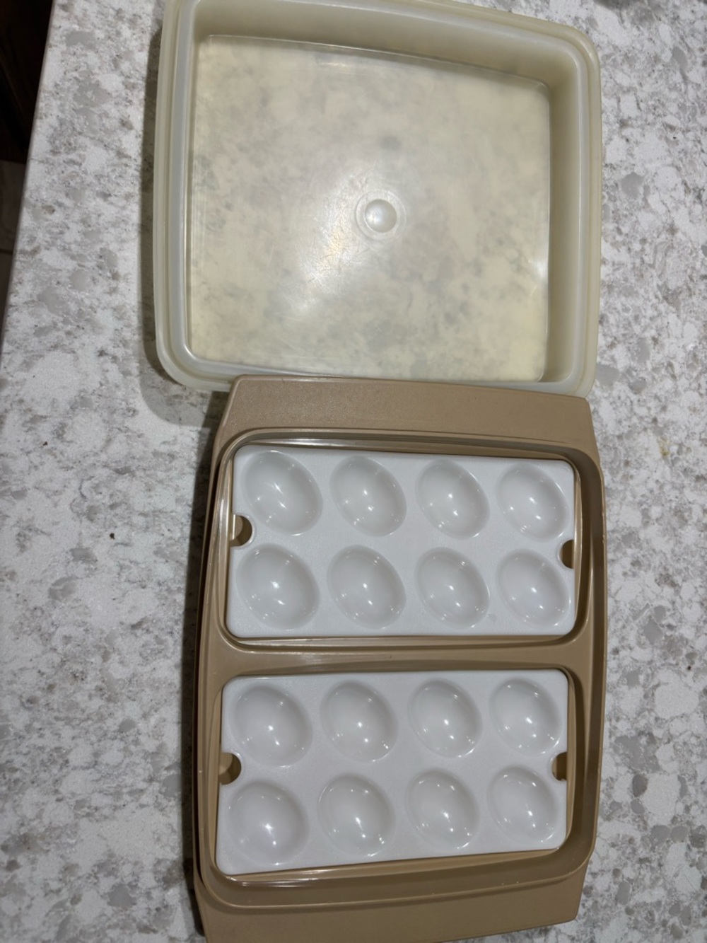 Tupperware deviled egg carrier with Beige Base Rectangular Container - Picture 2 of 4